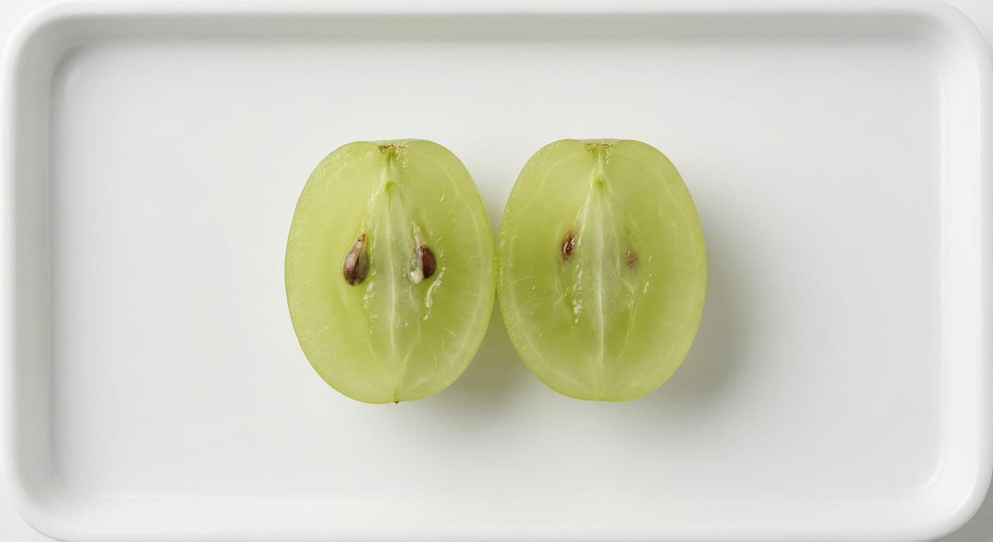 Scoville Splice Grape cross-section research specimen