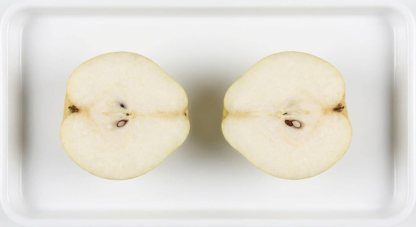 Scoville Splice Pear cross-section research specimen