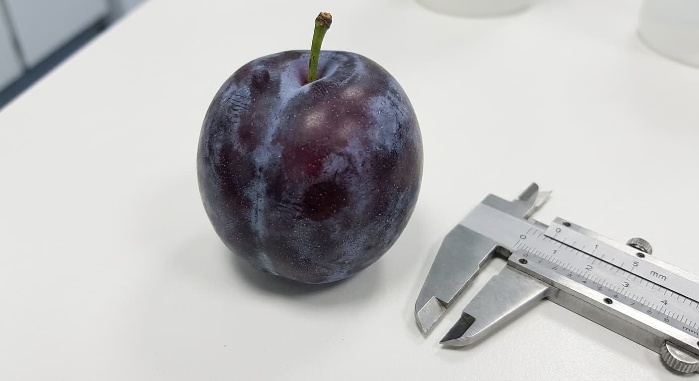 Scoville Splice Plum clinical specimen research specimen